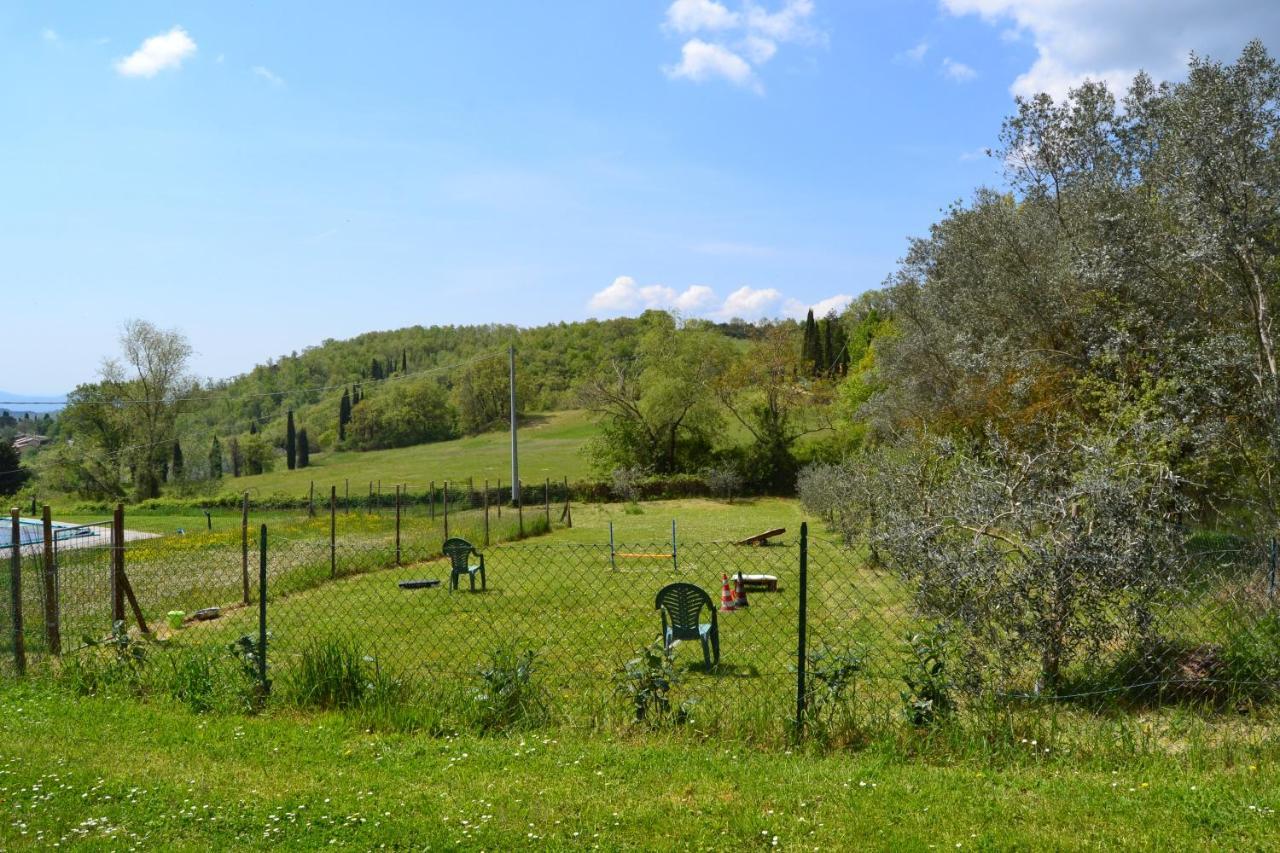 B And B Piccolo Ulivo Ranch Capolona Dış mekan fotoğraf